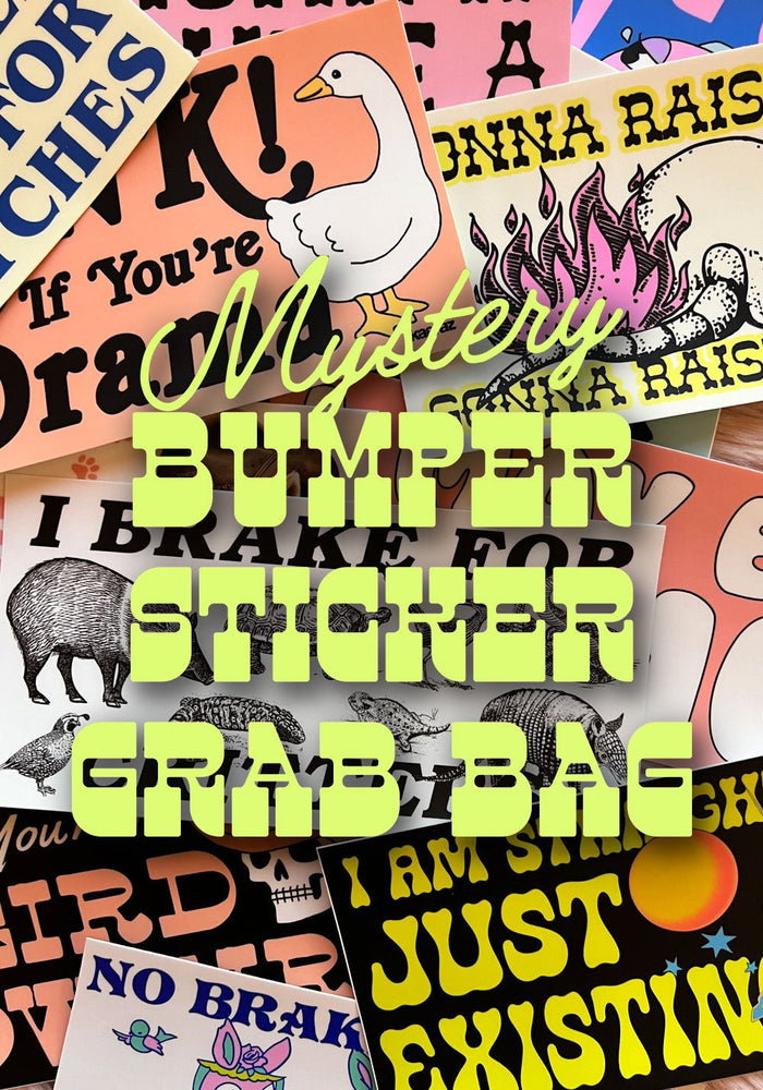 Mystery Bumper Sticker Grab Bag by kaeraz gift mystery sticker pack