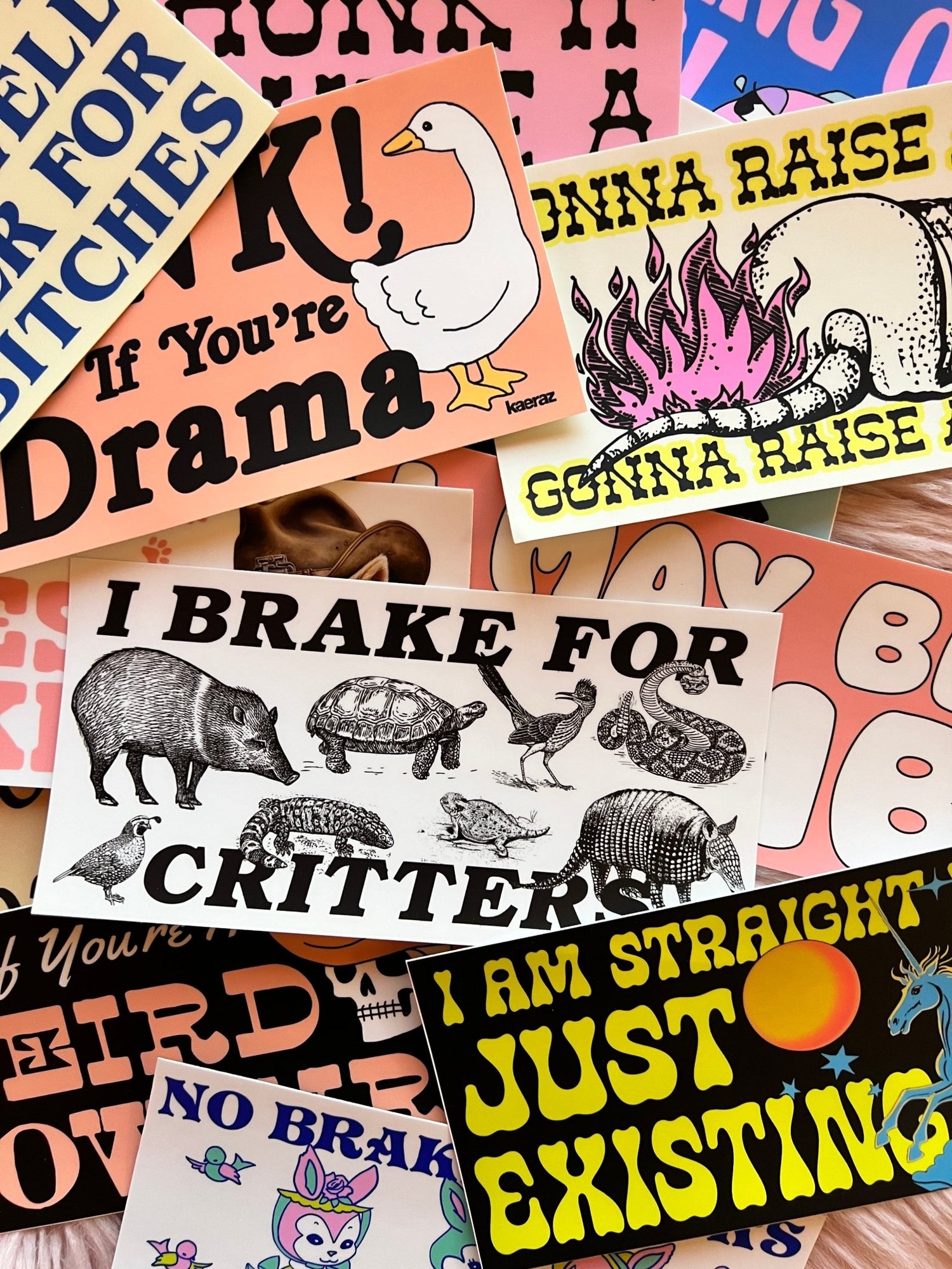 Bumper Stickers - kaeraz