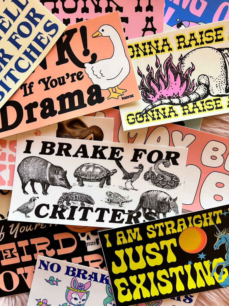 Bumper Stickers - kaeraz