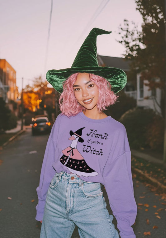 Honk If You're A Witch Long Sleeve Tee by kaeraz goose spooky witchy