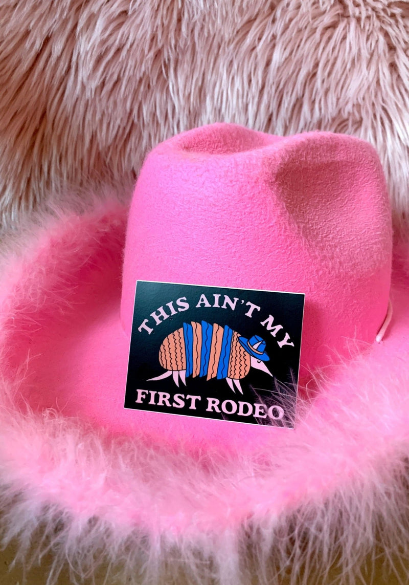 Armadillo Rodeo Sticker by kaeraz animal armadillo austin