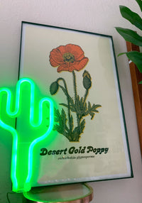 Desert Poppy Art Print by kaeraz botanical flower desert art desert botanical