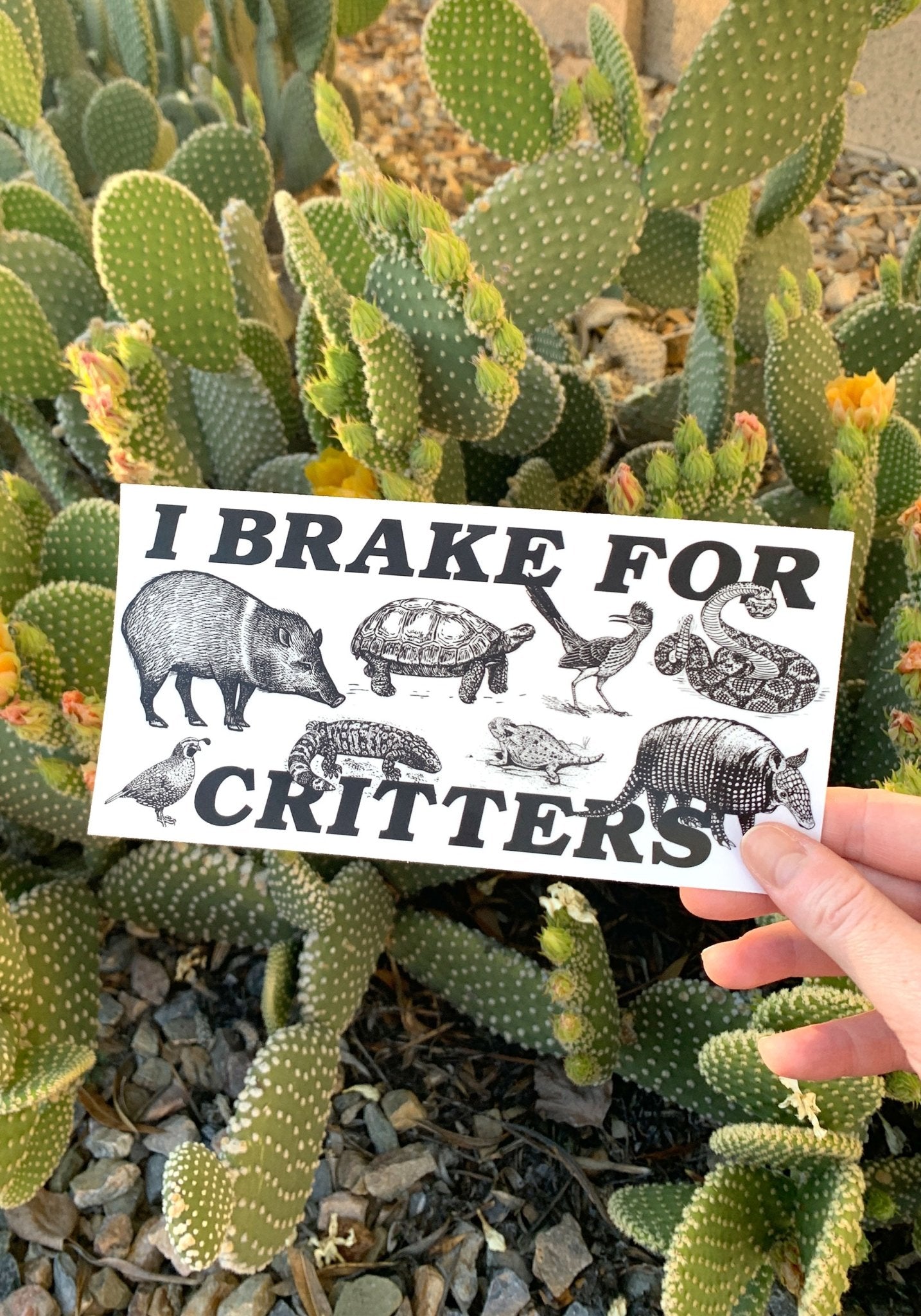 I Brake For Critters Bumper Sticker by kaeraz animal arizona armadillo