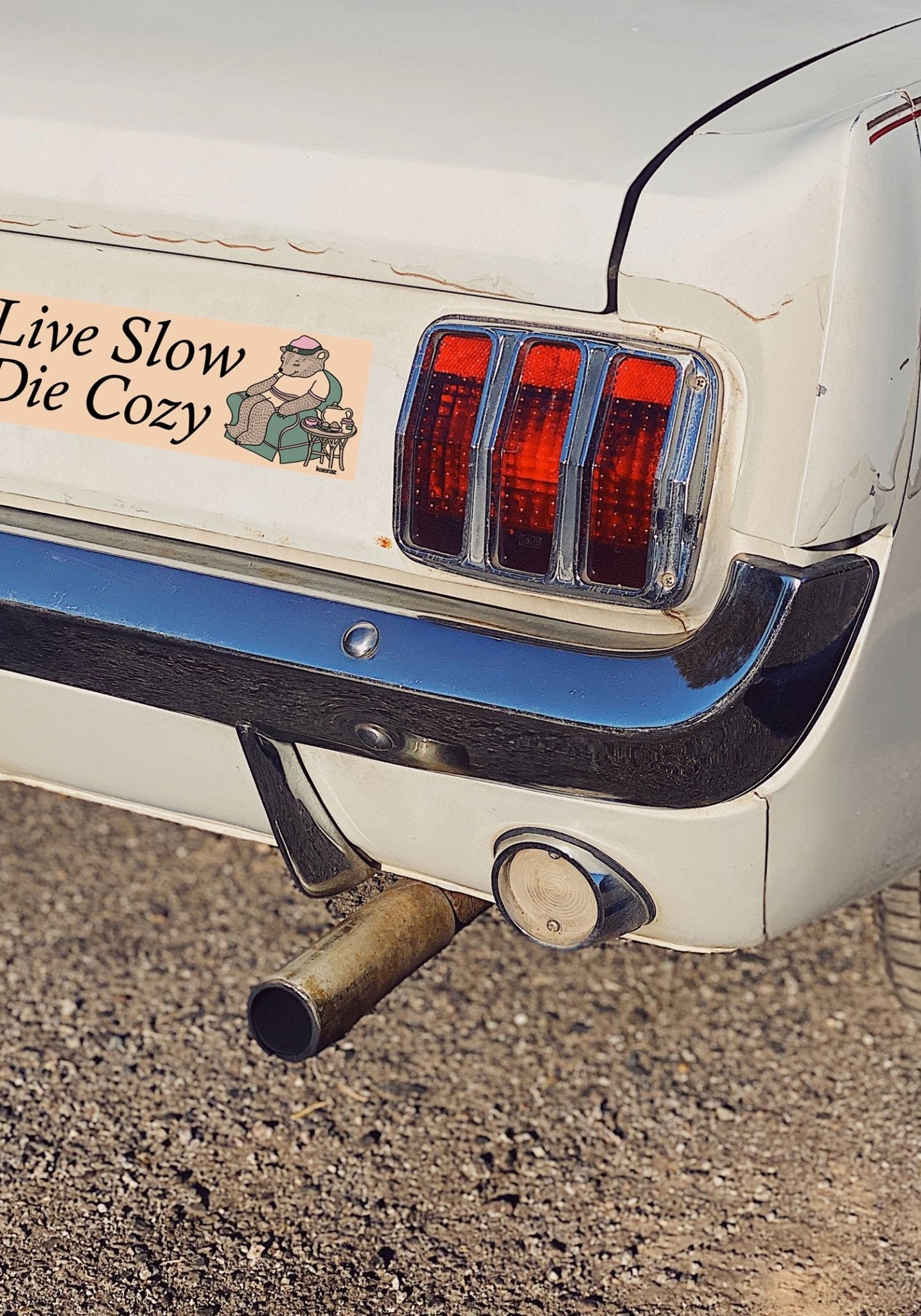 Live Slow Die Cozy Bumper Sticker by kaeraz bear bears ducks